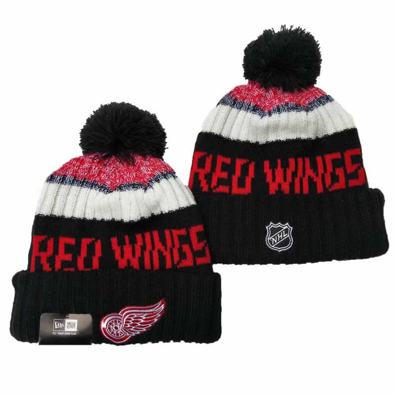 Detroit Red Wings Team Logo Knit Hat YD (1),We sell and wholesale Detroit Red Wings Team Logo Knit Hat YD (1) on line form chian!